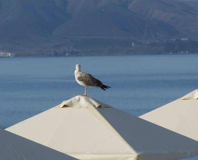 Прикрепленное изображение: bDSCF1128.jpg